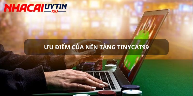 Tinycat99 - Trang Giải Trí Online Hàng Đầu Đẳng Cấp Quốc Tế 4 Những ưu điểm ít ai biết về Tinycat99