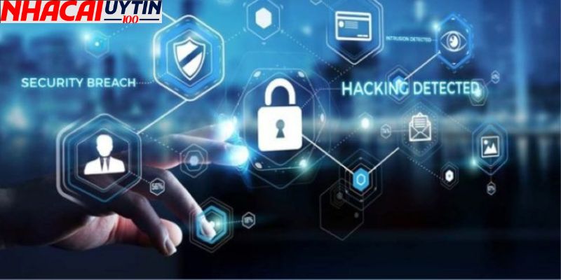 Những sản phẩm cá cược hàng đầu tại nhà cái Winbet 2 Độ an toàn bảo mật cực kỳ cao