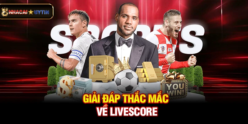 Livescore - Cập Nhật Tỷ Số Bóng Đá Trực Tuyến Nhanh Và Chính Xác 42 Giải đáp thắc mắc về livescore